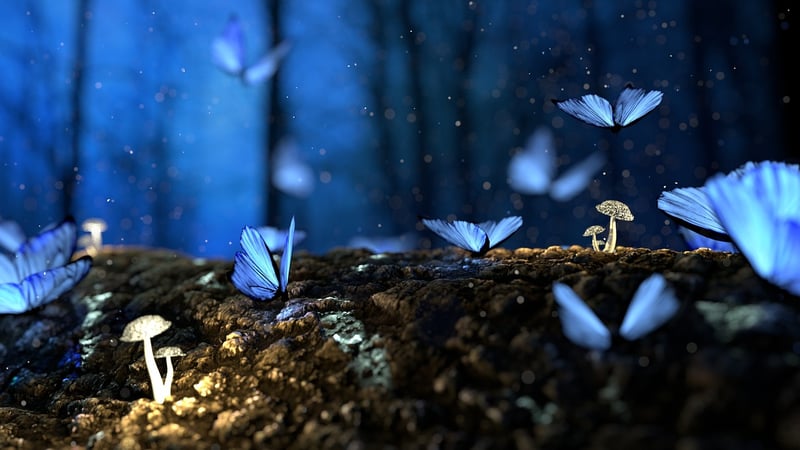 Enchanted domains