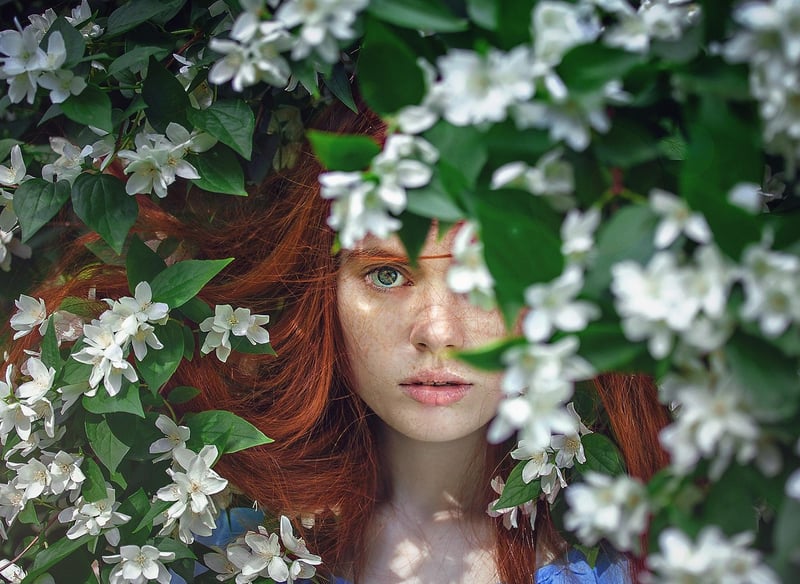 Fantasy foliage